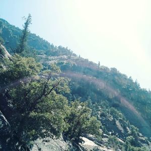 Meet your Posher, Noah